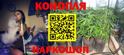 PSILOCYBIN Малгобек