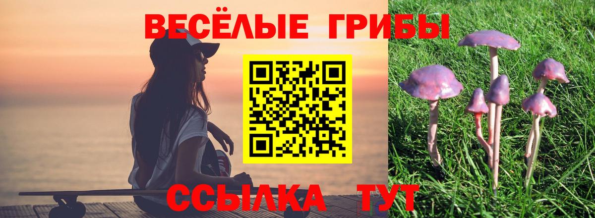 Владикавказ  Галлюциногенные грибы Psilocybe  Галлюциногенные грибы MAGIC MUSHROOMS  Вход с VPN 